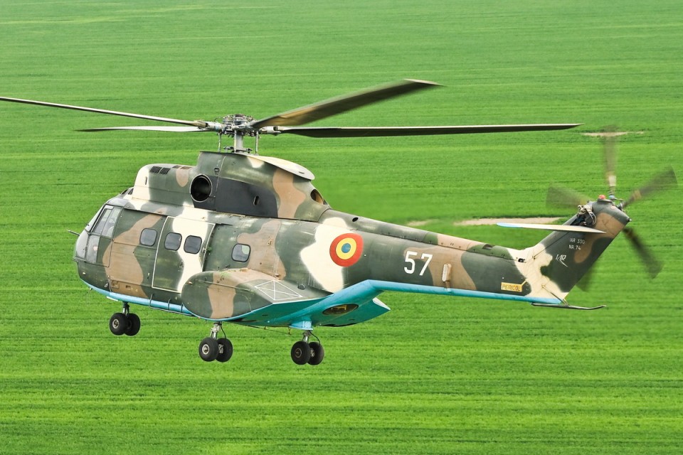 puma_12-960x600