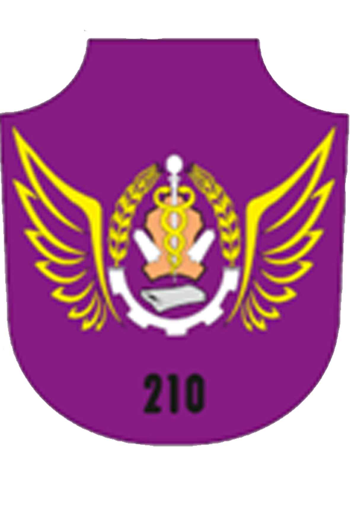 Grupul 210 Sprijin